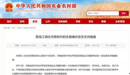 连云港同城爆料最新消息,突发事件引发关注，详情揭晓！