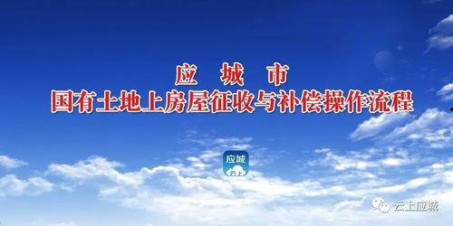今日应城新闻爆料最新,应城突发!最新事件引发广泛关注