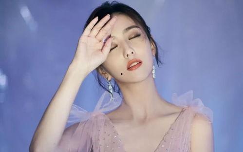 明星艺人大爆料最新,明星艺人大爆料揭秘幕后真相