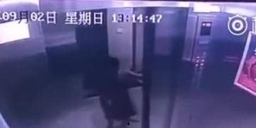 最新楼层爆料视频,高层建筑内部惊人景象曝光